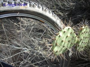Puncture