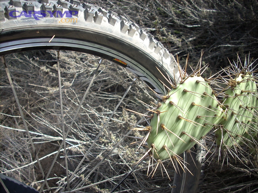 Puncture