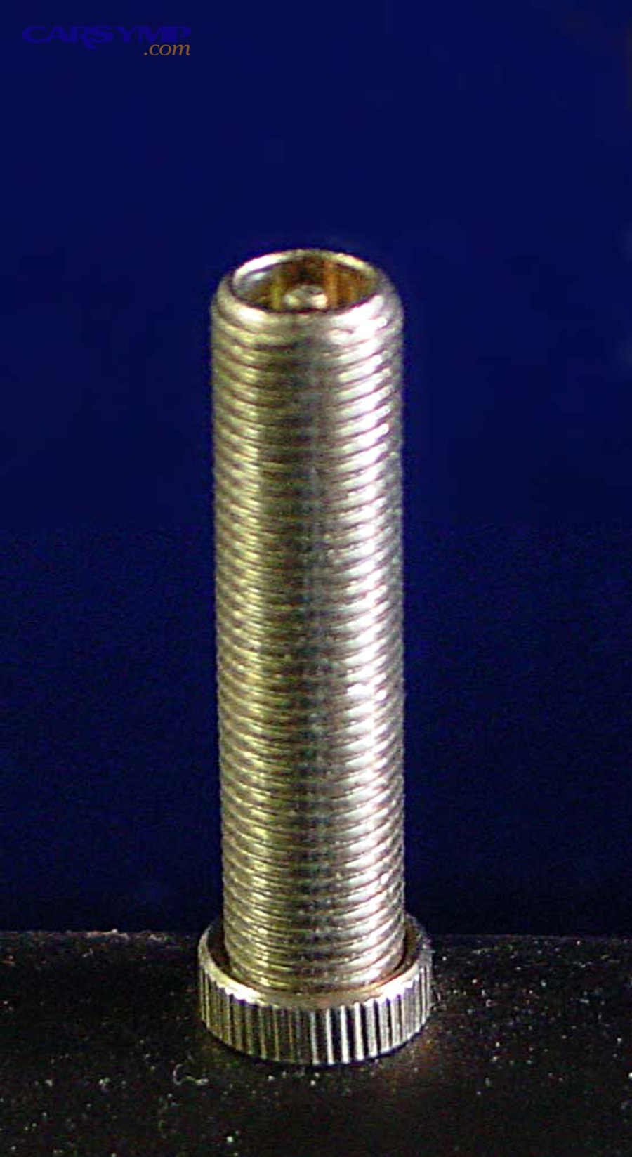 Schrader valve stem detail where leaks can occur at the core or stem