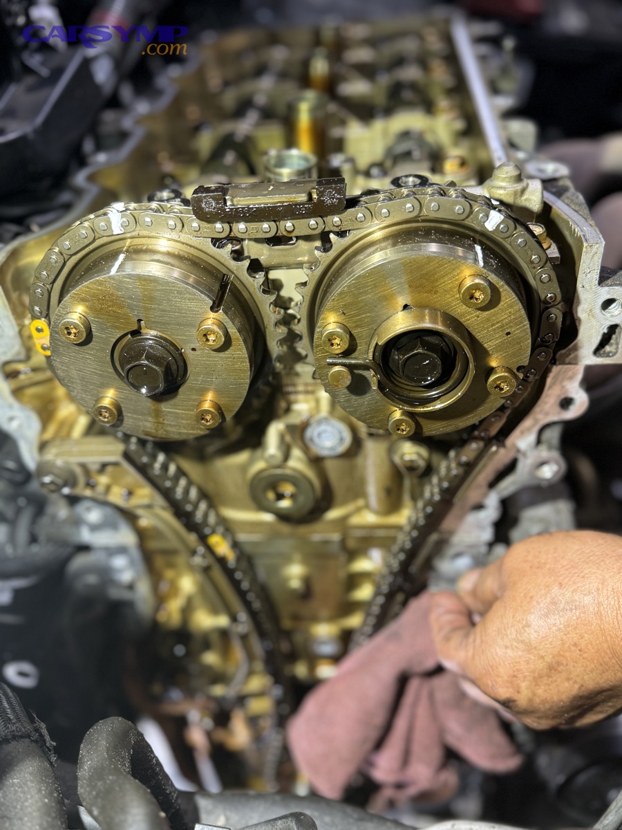Timing chain and camshaft area inside an engine