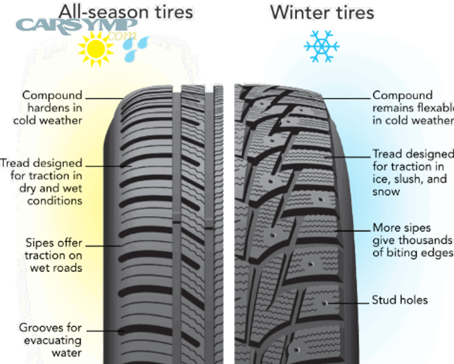 What Climate Conditions Determine Which Tire Type You Need?