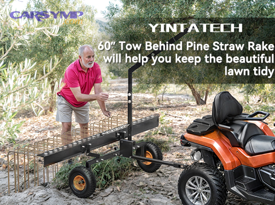 Person looking at a car with hood open on roadside