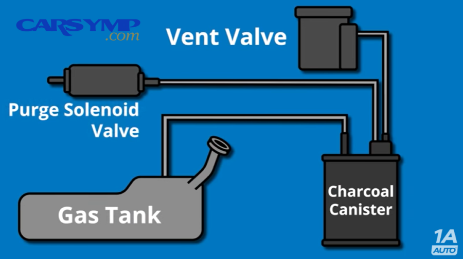 When should you replace the purge valve, replace the vent valve, or look for an EVAP leak elsewhere?