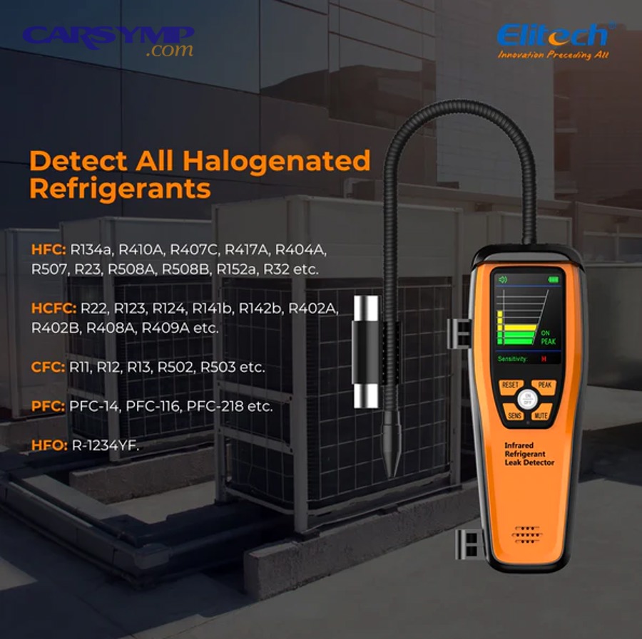 How Do You Compare Immediate Repair Costs vs Monitoring and Delayed Repair?