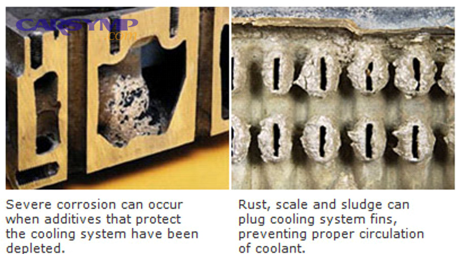 How can you prevent repeat leaks the next time you service fluids?
