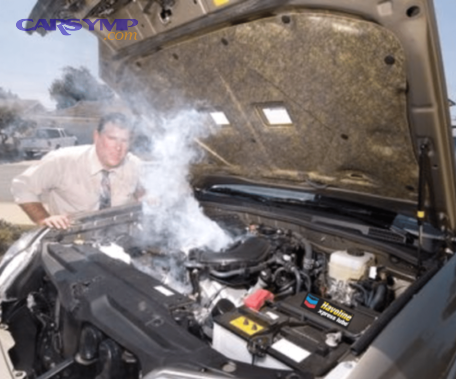 Cylinder head gasket component between block and cylinder head