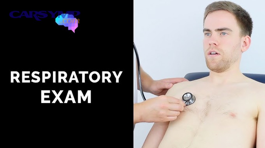 Car engine bay for basic DIY inspection and sound-check context