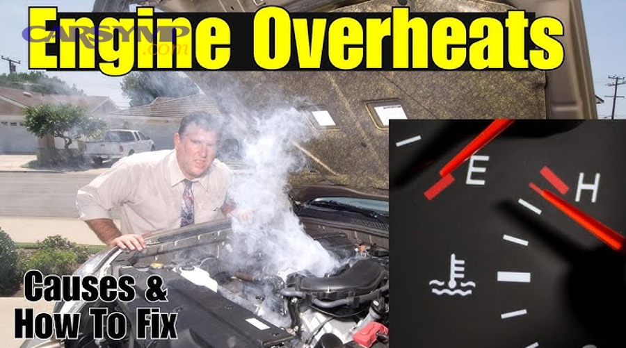 Coolant expansion tank and hoses in an engine bay