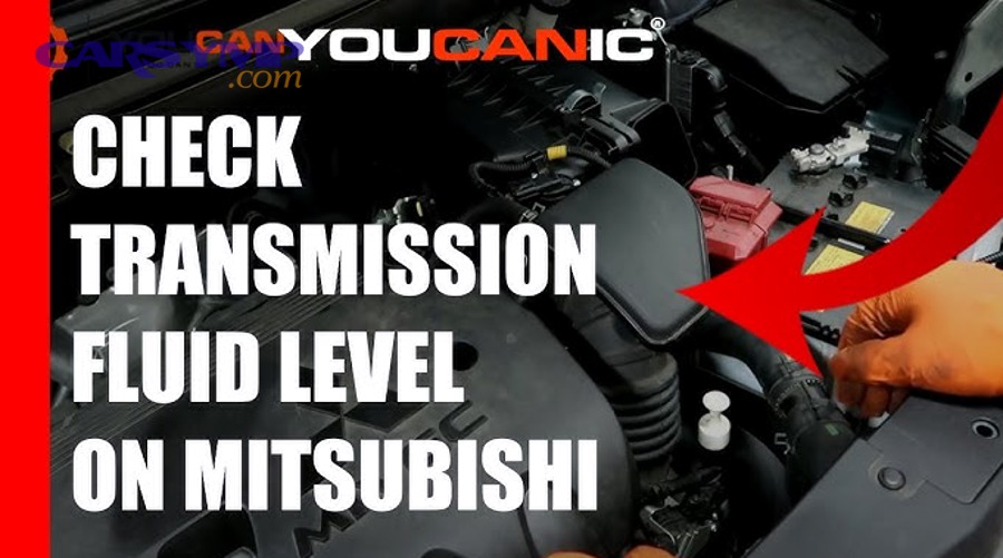 How often should DIY drivers check fluid levels, and what should you do with your results?