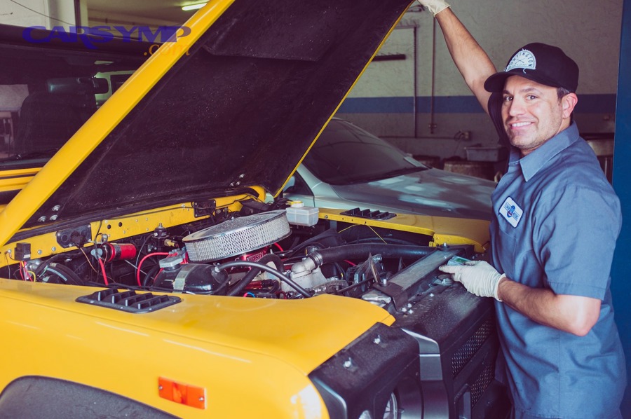 Which type of shop is best for your situation: dealer vs independent vs chain vs specialist?