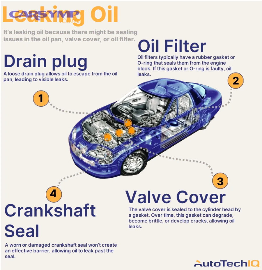 leaking oil common causes
