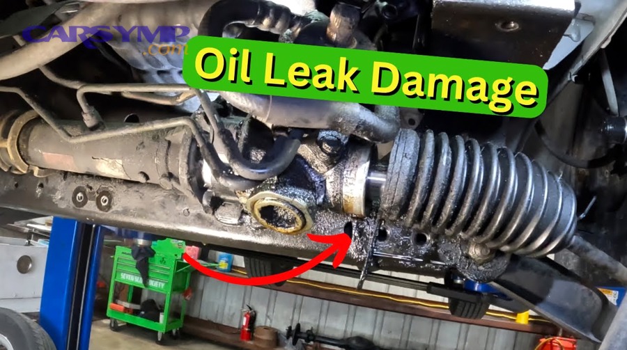 What Are the Cost Differences Between Seal Repair and Rack Replacement?