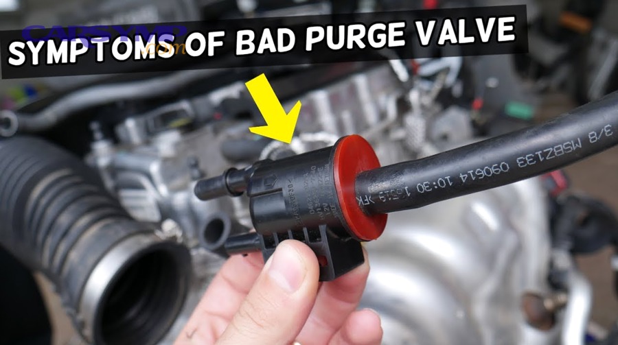 Can you diagnose purge vs vent valve failure from OBD-II codes and freeze-frame clues?
