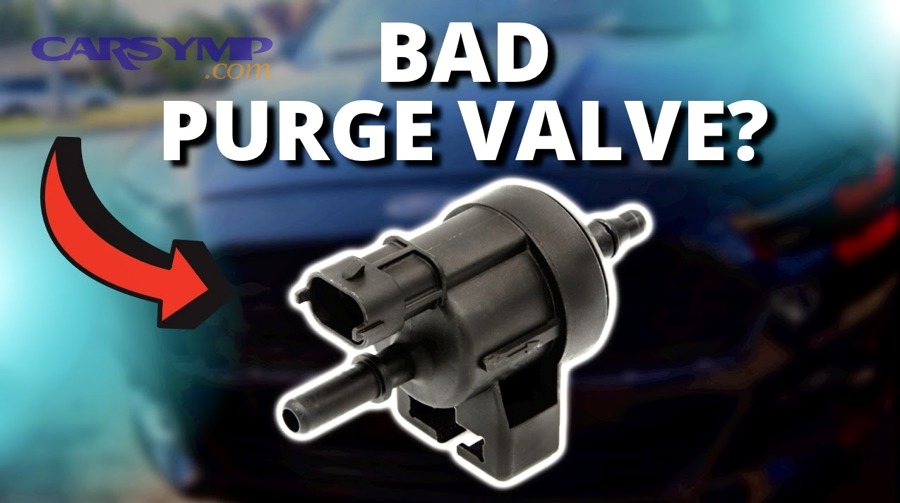 Simple EVAP diagram showing canister, purge control solenoid, and lines