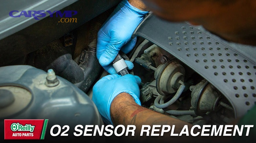 Oxygen sensor shown with wiring harness and connector for fitment comparison