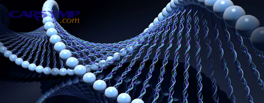 molecular diagnostics
