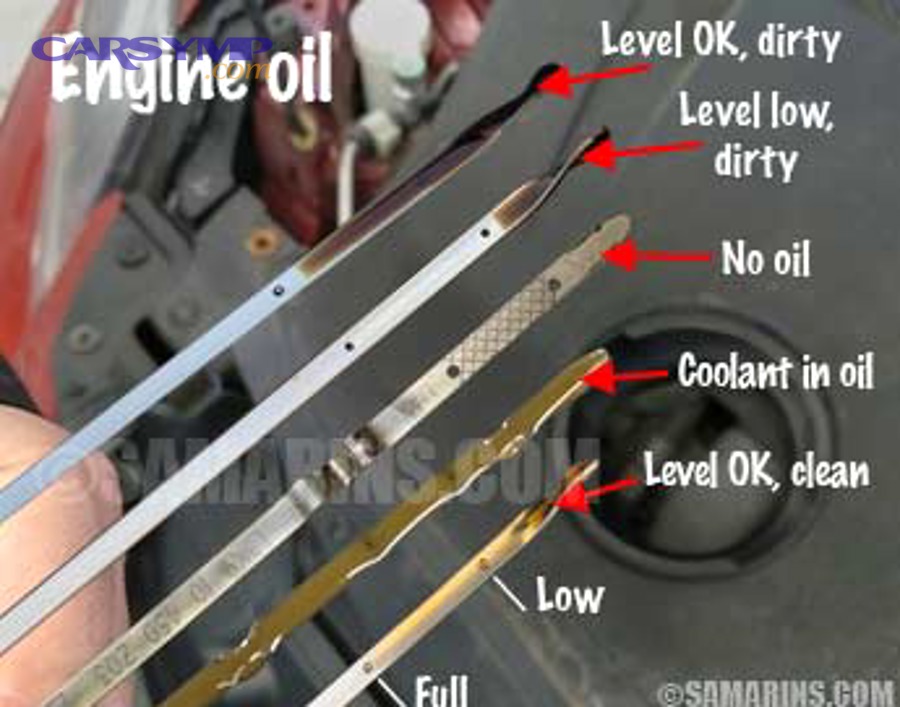Engine oil dipstick condition and level examples