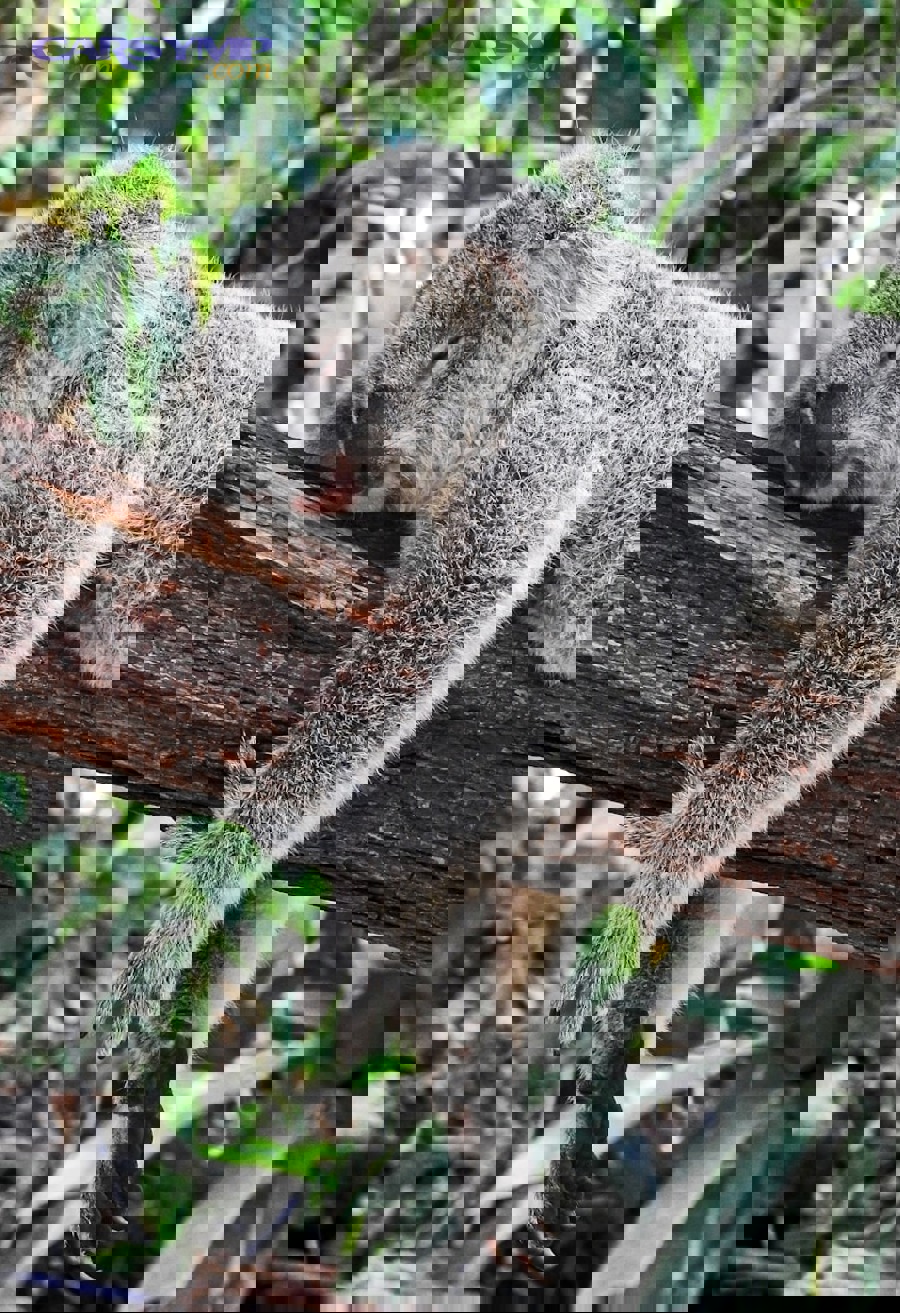 Worn tire tread showing damage from improper seasonal use