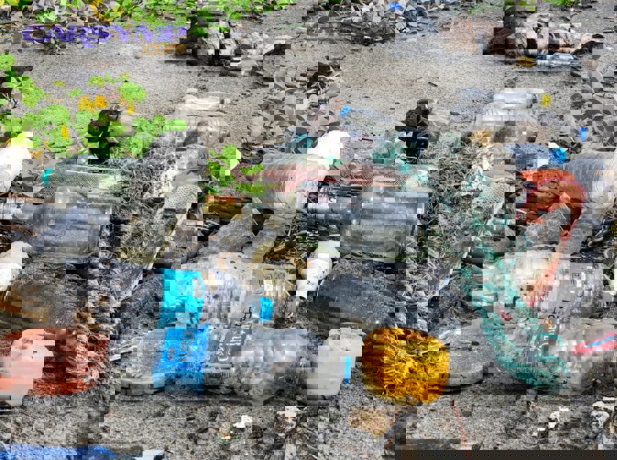 Essential plumbing tools including wrench, buckets, and supplies needed for flushing system after repairs