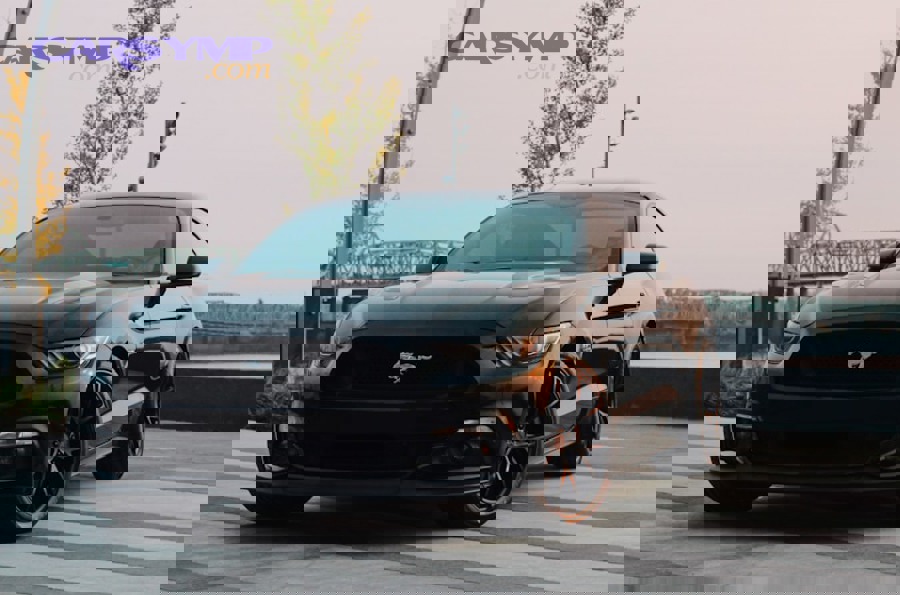 photo 1547744152 14d985cb937f