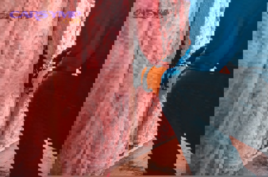 homeowner safely painting interior wall with proper drop cloth and ladder setup