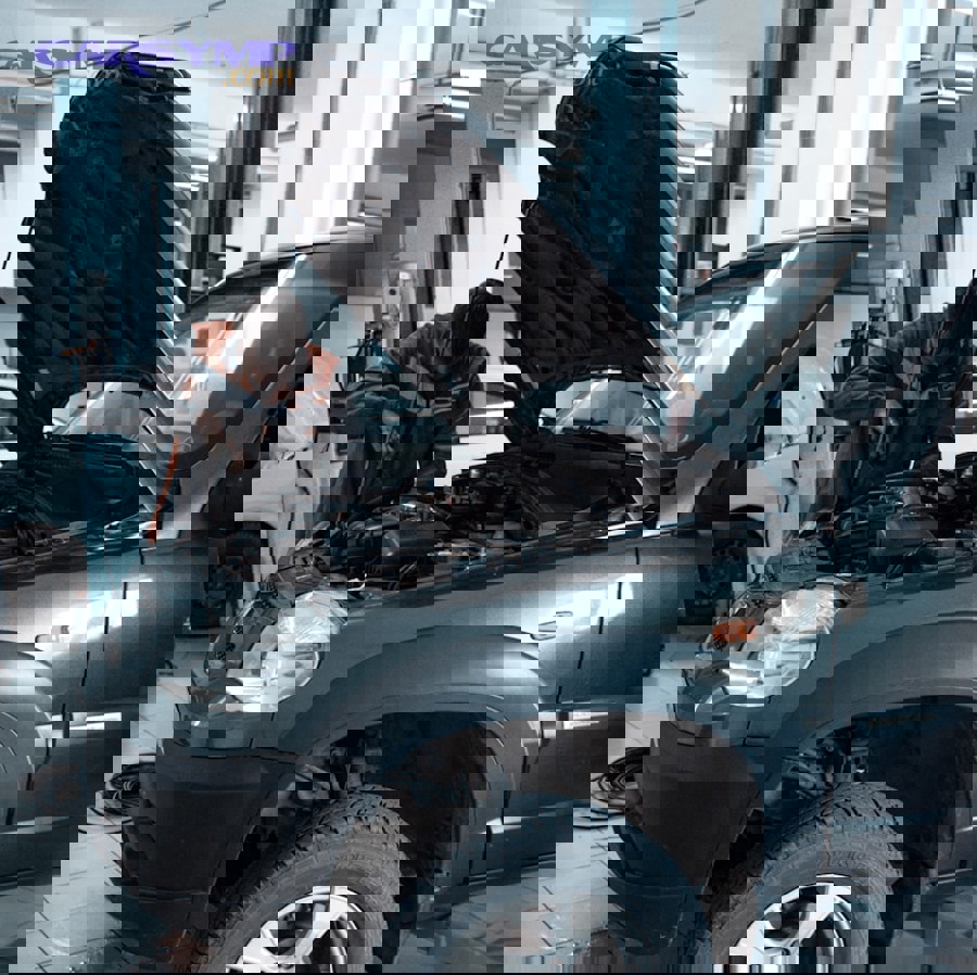 photo 1625047509168 a7026f36de04 61