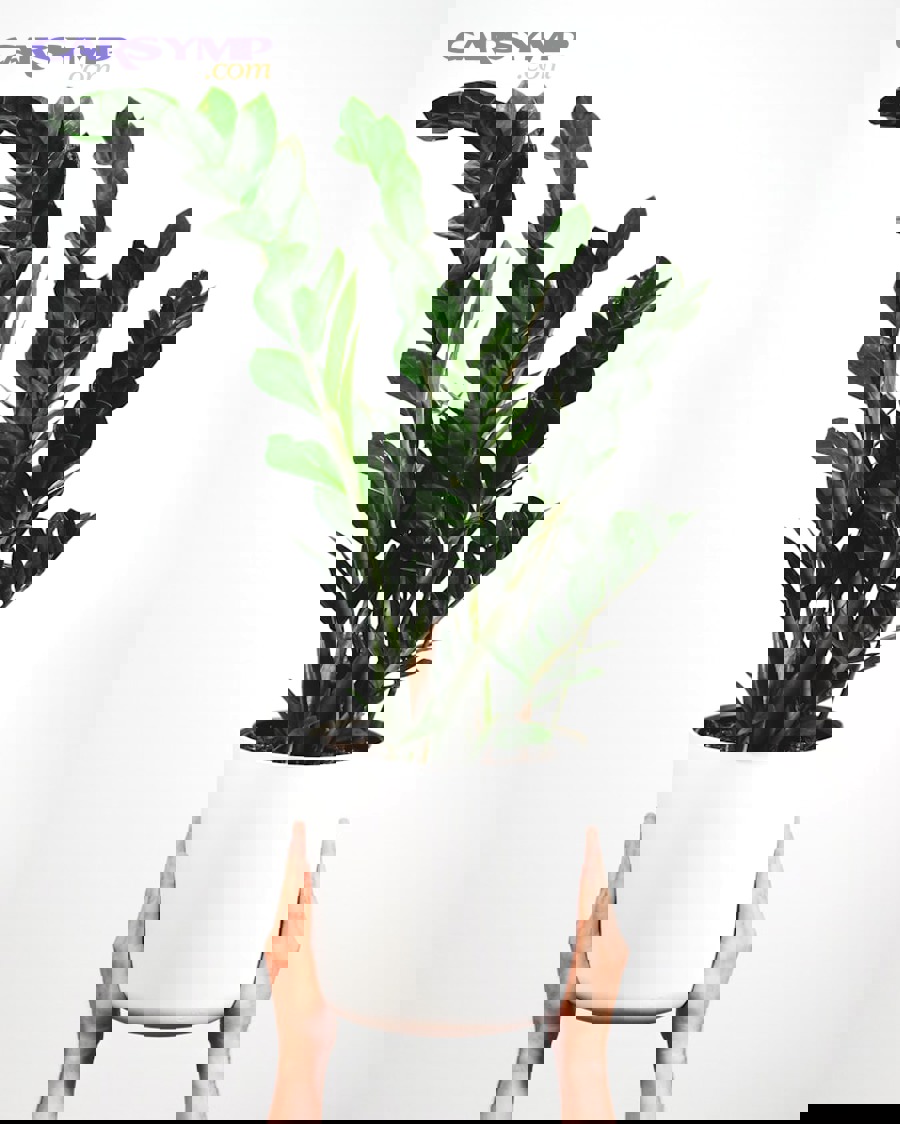 anti-seize compound being applied to bolt threads