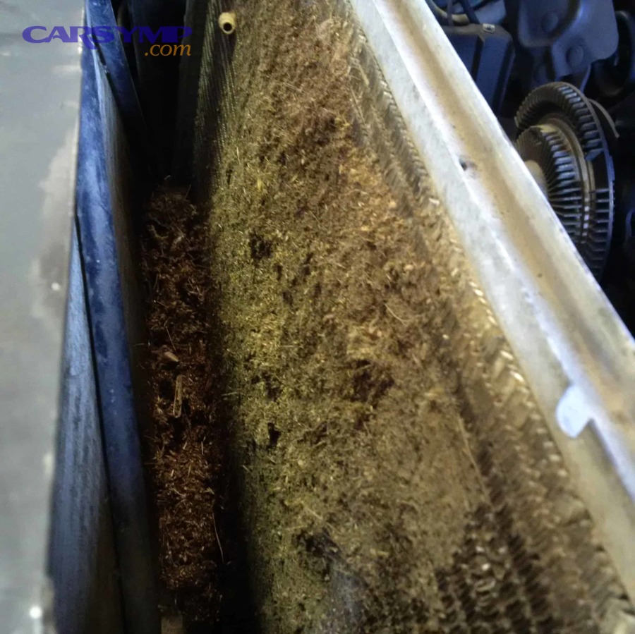 What Should You Do When You Notice Clogged Radiator Symptoms?