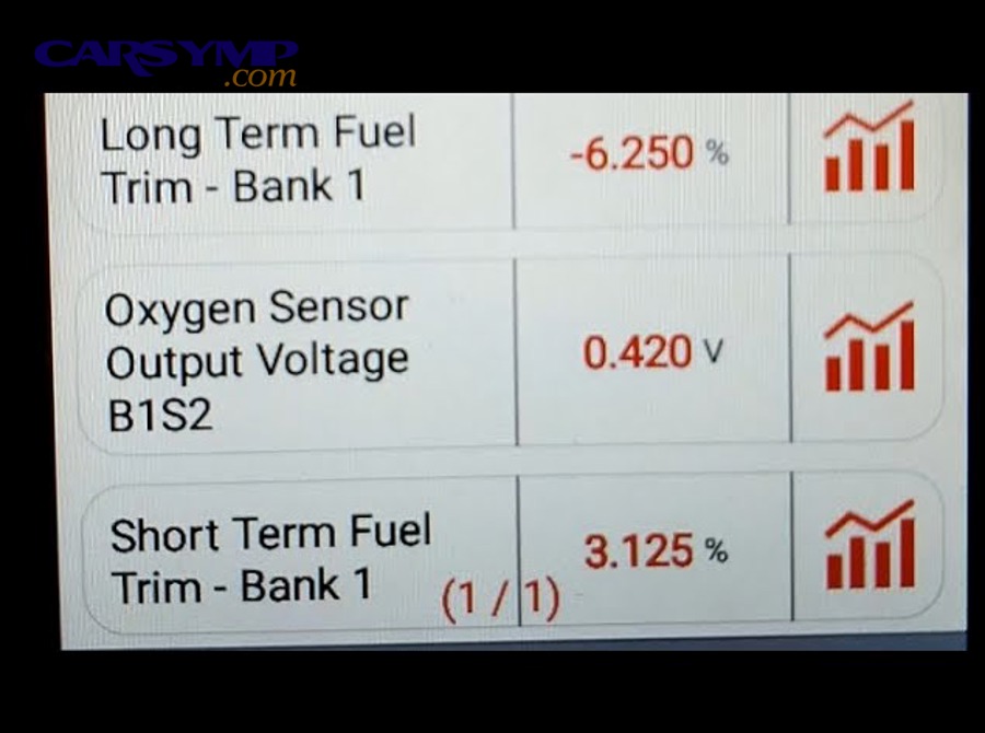 What rare conditions can mimic leak-driven O2 and fuel trim patterns ?