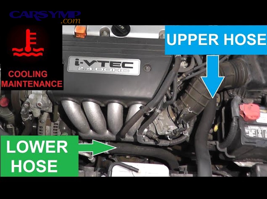 Upper radiator hose installed in an engine bay (routing and clamp locations)