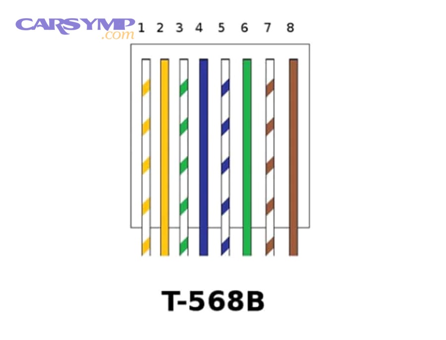 RJ45 plug showing conductor seating depth and jacket under strain relief