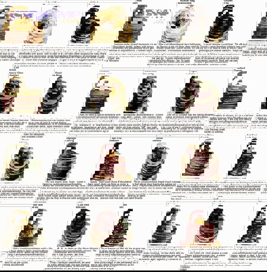 Comparison chart showing healthy spark plug versus various damaged conditions