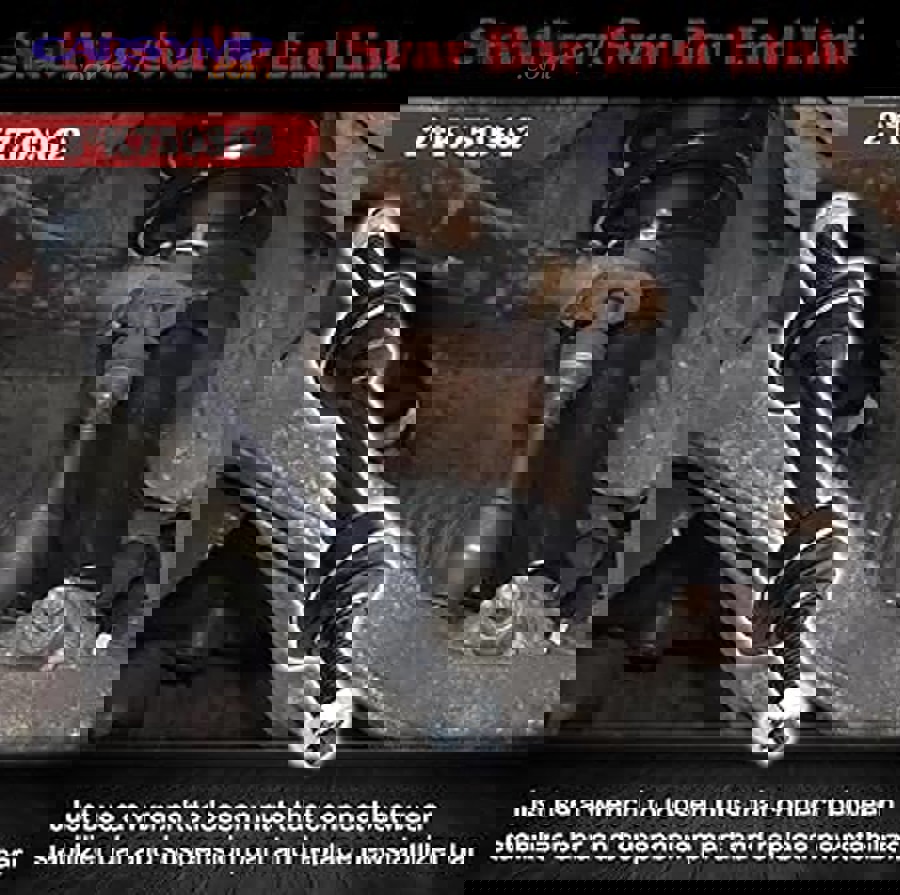 What Do Professional Mechanics Recommend?