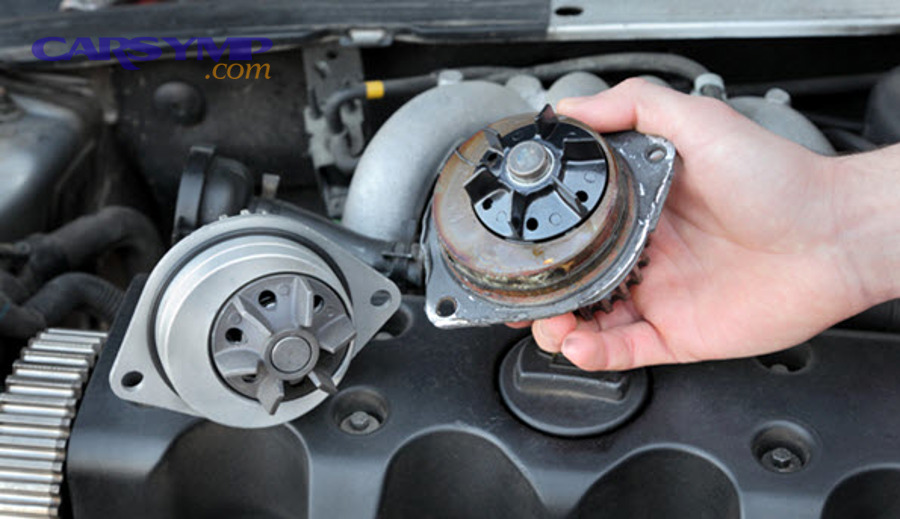 Timing belt area where water pump service may be combined with belt replacement