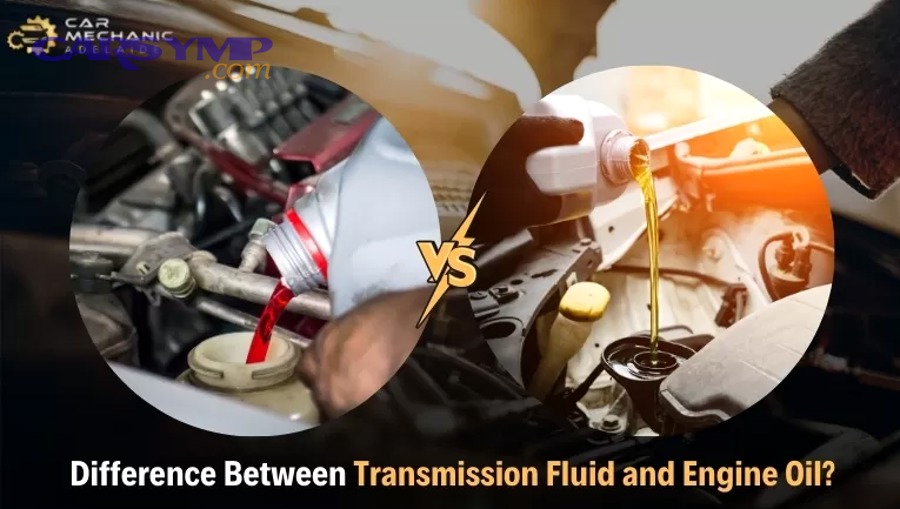 What Are the Different Types of CVT Fluid Service Procedures?