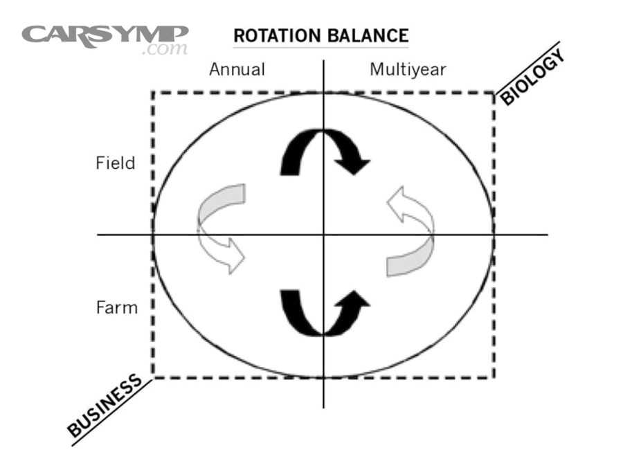 What Happens If You Rotate Without Balancing — or Balance Without Rotating?
