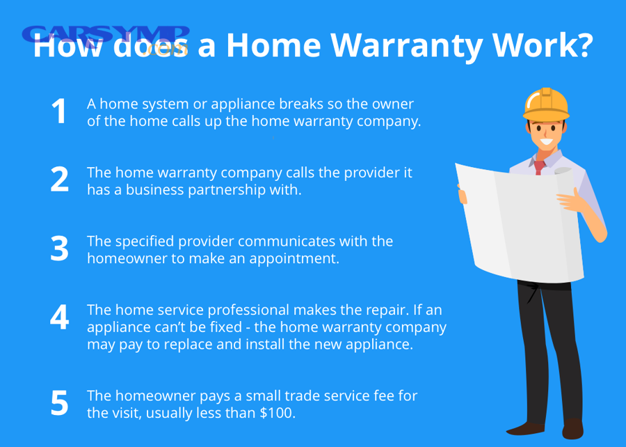 automotive starter motor diagram showing internal components and electrical connections