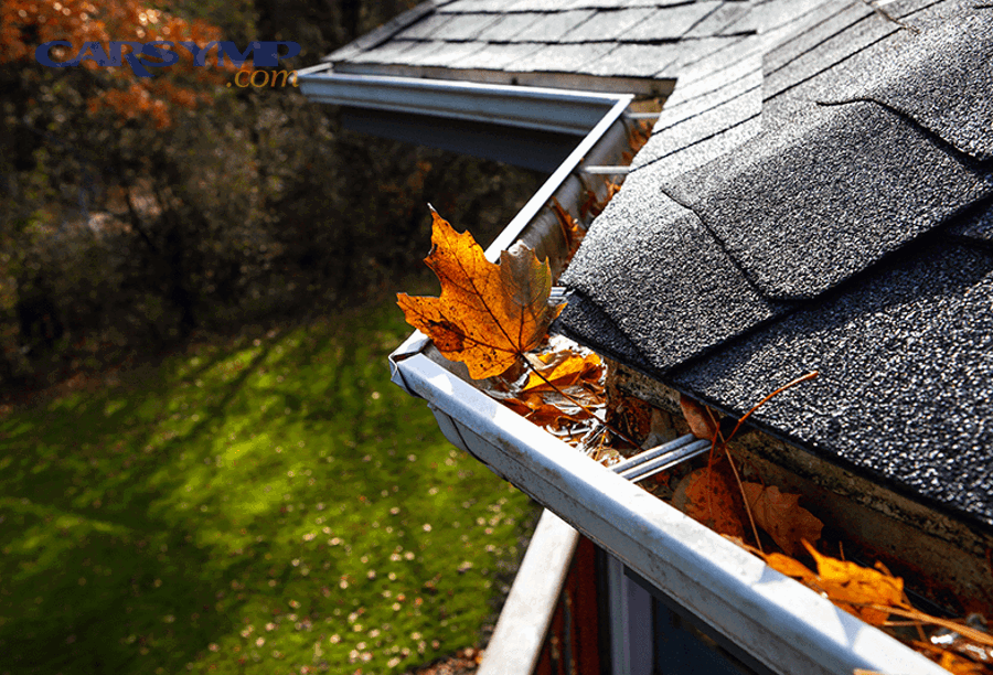 What Are the Advanced and Specialized Leak Prevention Strategies Homeowners Often Overlook?