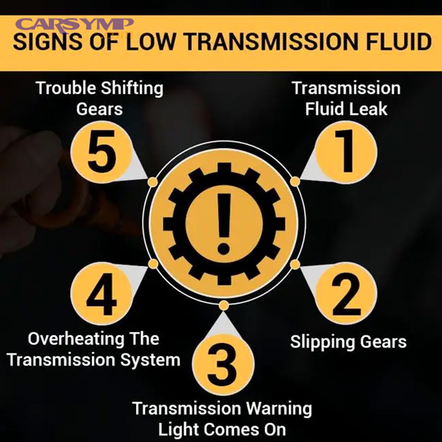 How Do You Check and Fix Low ATF?