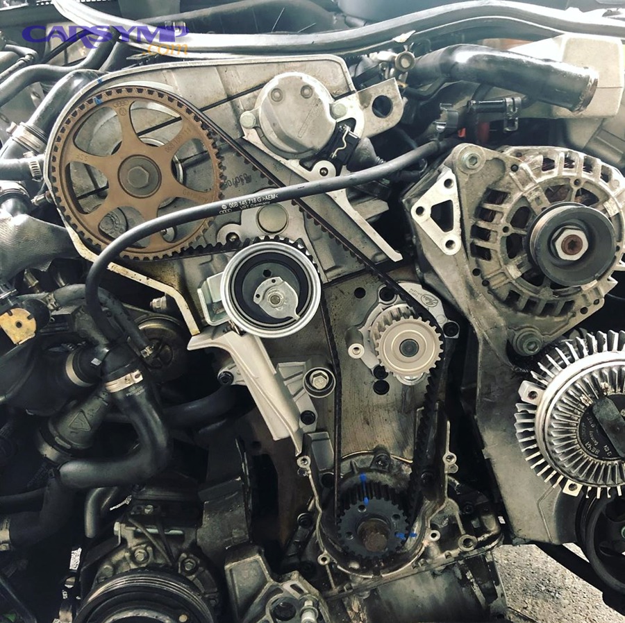 Does Every Car Need the Timing Belt and Water Pump Replaced Together?