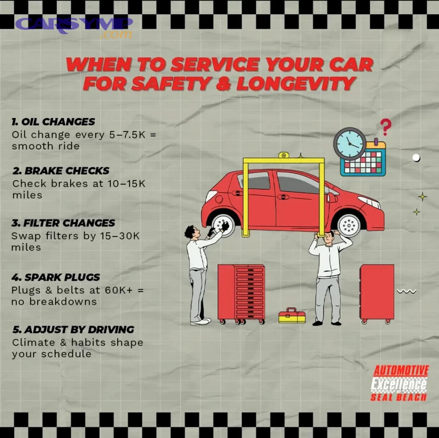 Auto parts and service tools laid out for vehicle repair