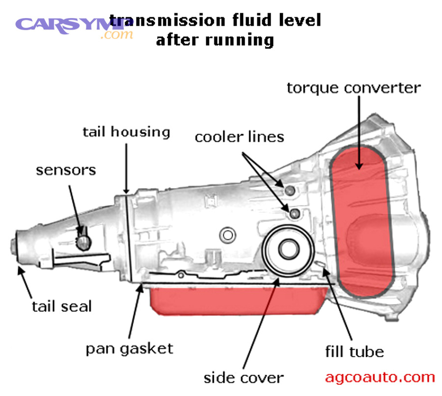 Internal automatic transmission components showing clutch packs and valve body