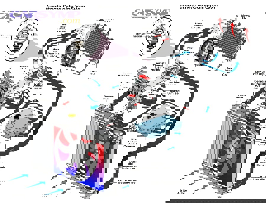 mechanic inspecting vehicle cooling system