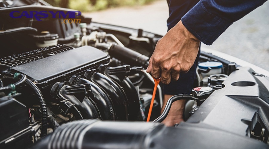 What Warning Signs Require Immediate Professional Diagnosis?