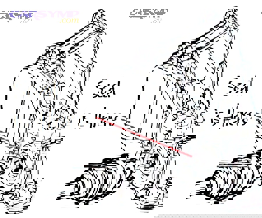 How Much Does It Cost to Fix an Oil Pan, Axle Seal, or Cooler Line Leak?