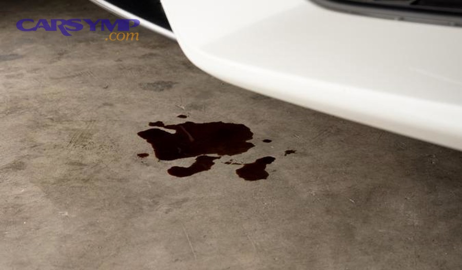 Checking transmission fluid level on dipstick to assess leak severity