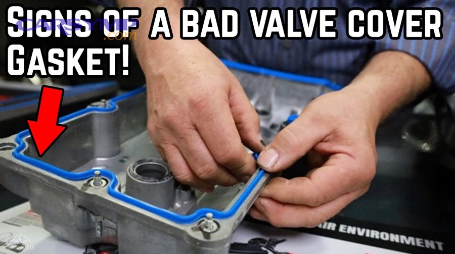 Why do some valve cover gasket leak symptoms appear differently across vehicles?