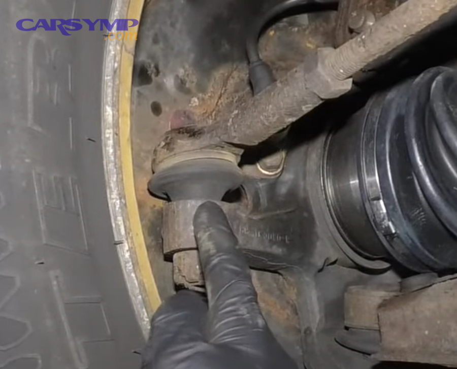 How Do Suspension Squeaks Differ Across Vehicle Types and Designs?