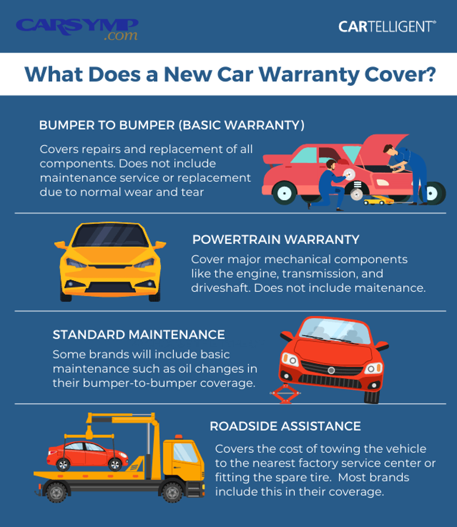 Car owner reviewing extended warranty and repair coverage documents
