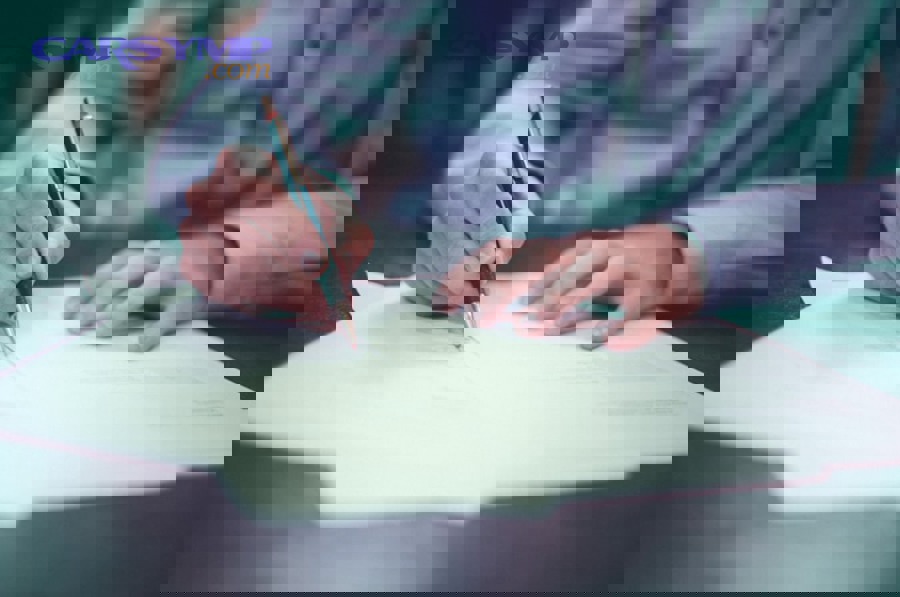 business analyst reviewing detailed financial spreadsheet comparing lump sum versus itemized cost estimates